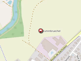 Carte de Vonau Martial à Molsheim