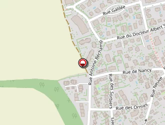 Carte de Un Cerisier En Fleurs à Ostwald