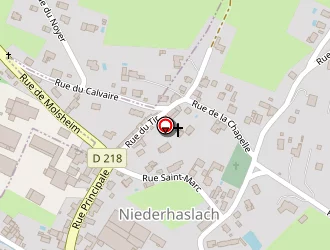 Carte de Strubel à Niederhaslach