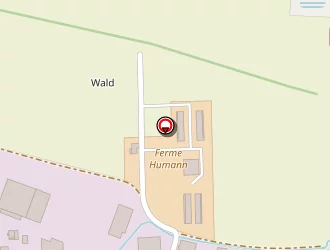 Carte de Newtl à Ernolsheim-bruche