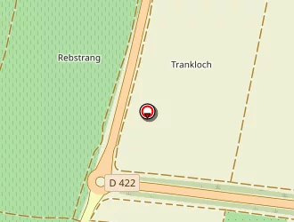 Carte de Alsace Klingenfus à Molsheim