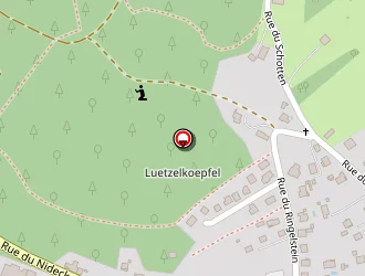 Carte de Zone De Loisirs à Oberhaslach