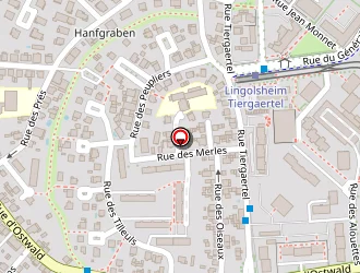 Carte de Comitatus Figurines à Lingolsheim