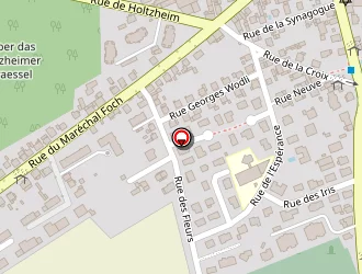 Carte de Cornette Patricia à Lingolsheim