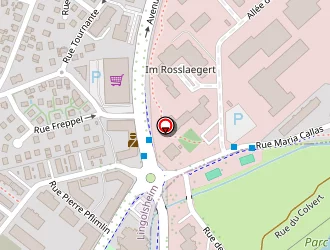 Carte de Supermarch Coop à Lingolsheim