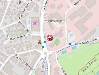 Carte de Pôle Emploi à Lingolsheim