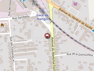 Carte de Rio Georges à Nangis