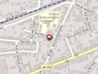 Carte de Catana Teodor à Lingolsheim