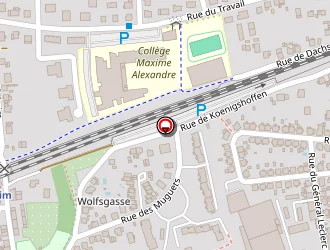 Carte de Foch Environnement à Lingolsheim