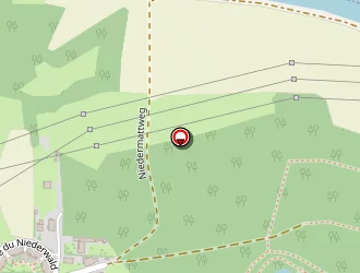 Carte de Kurtz Olivier à Ostwald