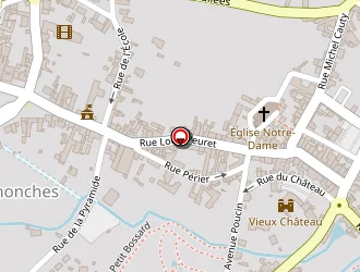 Carte de Buisson Camille à Senonches