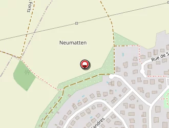 Carte de Schauer Alexandre à Lingolsheim