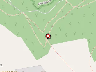 Carte de Pinchon Erwan à Plougonven