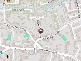 Carte de Duguey Emmanuel à Cesson