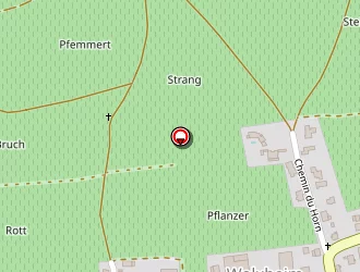 Carte de Gross Joseph à Wolxheim