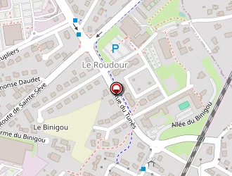 Carte de Solumedia à Saint-martin-des-champs