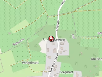 Carte de Goeller Jean-marie à Flexbourg