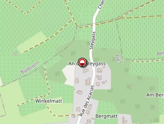 Carte de Wagner Christine à Flexbourg