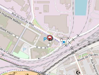 Carte de Gunes Leyla à Strasbourg