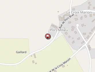 Carte de Sam Passion Verte à Bringolo