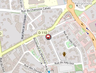 Carte de Sionny Eric à Lesneven