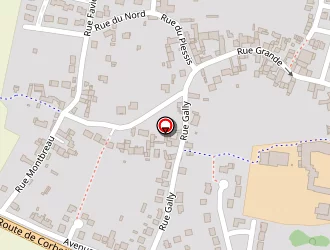 Carte de Janot Bruno à Savigny-le-temple