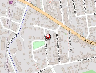 Carte de Schaeffer Francis à Strasbourg