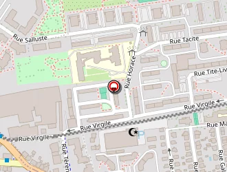 Carte de Entreprise Lenik Services à Strasbourg