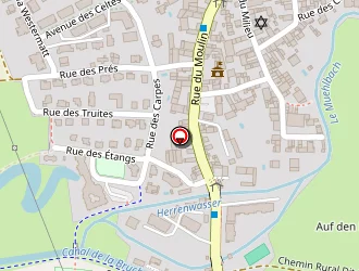 Carte de Bronja Elvis à Wolfisheim