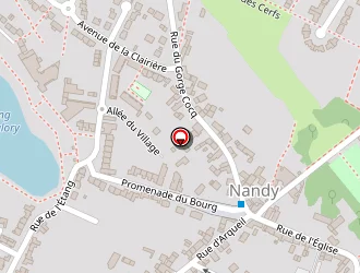 Carte de Exotic Clinic à Nandy