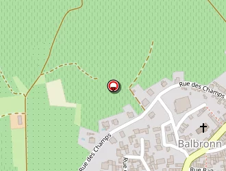 Carte de Noeppel Laëtitia à Balbronn