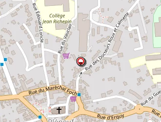 Carte de Pléneuf Optique à Pléneuf-val-andré