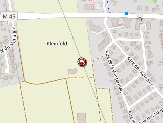 Carte de Hamza Samir à Wolfisheim