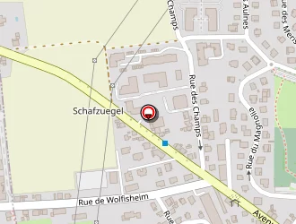 Carte de Trovao à Eckbolsheim