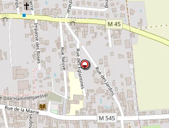 Carte de De La Cigogne (gaec) à Wolfisheim