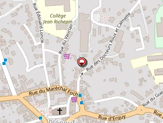 Carte de Ekko Pelé à Pléneuf-val-andré