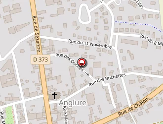 Carte de Cogexia à Anglure