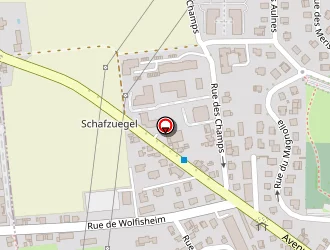 Carte de Ponpon Jean-pierre à Eckbolsheim