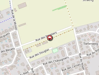 Carte de Werner à Oberschaeffolsheim