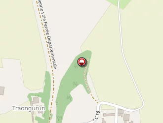 Carte de Bernard Xavier à Lesneven