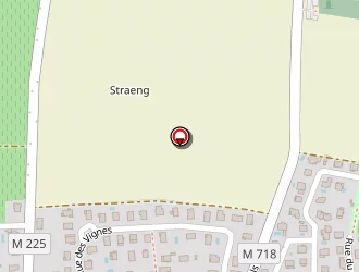 Carte de Geldreich Paulette à Osthoffen