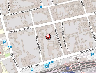 Carte de Fischer Michel à Lunéville