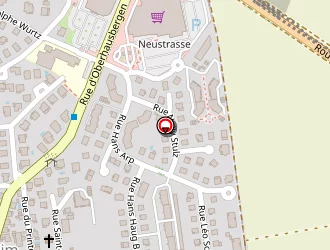 Carte de Asso.orchidee-familles à Wolfisheim