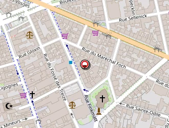 Carte de Foncière Magellan à Strasbourg