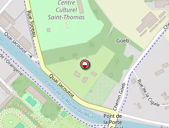 Carte de Bracigliano Olivia à Strasbourg