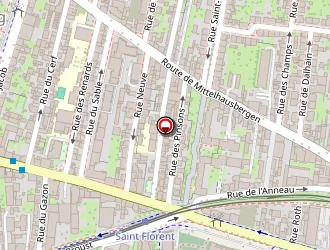 Carte de Photographys à Strasbourg