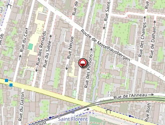 Carte de Soysal Dogan à Strasbourg