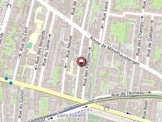 Carte de Balsamine à Strasbourg