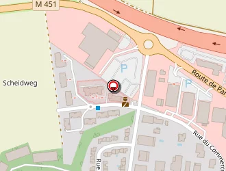 Carte de Gerner à Wolfisheim