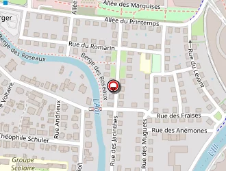 Carte de Mergane Souleymane à Strasbourg